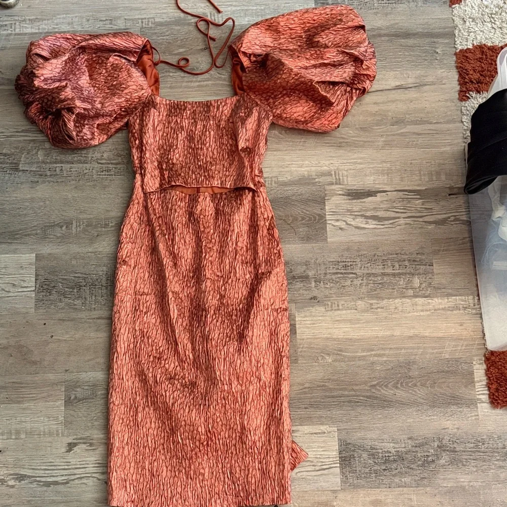 Rachel Comey Rust Orange Textured Midi Dress with Puff Sleeves - Picture 5 of 6